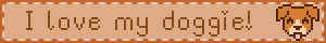 brown dog